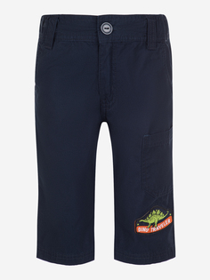 Бриджи для мальчиков Outventure, Синий