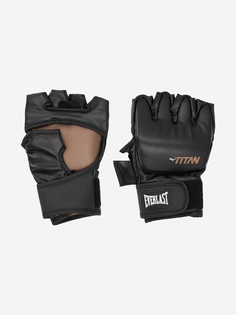 Перчатки боксерские Everlast Titan, Черный