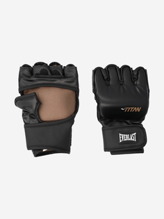 Перчатки боксерские Everlast Titan, Черный