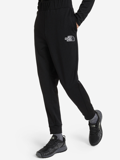 Брюки мужские The North Face Exploration, Черный