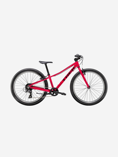 Велосипед подростковый женский Trek Precaliber 24 8SP 24", 2022, Розовый