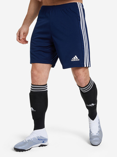 Шорты мужские adidas Squadra 21, Белый