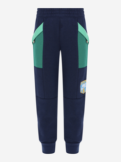 Брюки для мальчиков Nike Great Outdoors, Синий