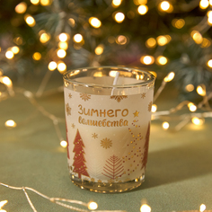 Свеча Winter magic Cozy Home