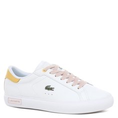 Кроссовки и кеды Lacoste