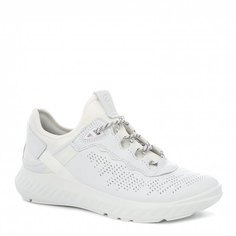 Кроссовки и кеды Ecco