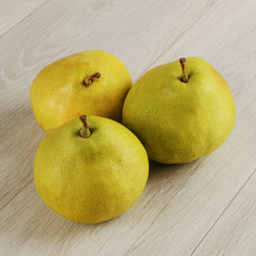 Груша Шах Губа Noname