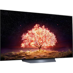 Телевизор LG OLED55B1RLA