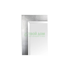 Зеркало Evoform В багетной раме 71х101см (BX 1199)
