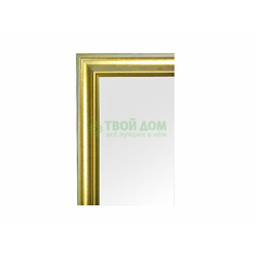 Зеркало Evoform В багетной раме 66х86см BX 1016 (BX 1016)