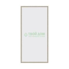 Зеркало Evoform В багетной раме 48х98см (BX 0691)