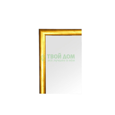 Зеркало Evoform В багетной раме 60х80см BX 0647 (BX 0647)