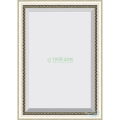 Зеркало Evoform В багетной раме 73х103см BX 1196 (BX 1196)