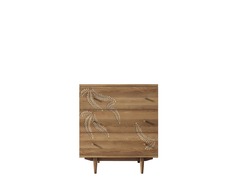 Комод boho new 3 ящика с растением (etg-home) коричневый 70x80x45 см.