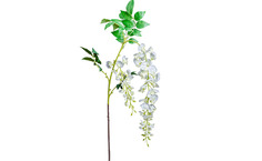 Глициния белая (garda decor) белый 142 см.