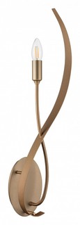 Бра ragno (lightstar) золотой 15x65x10 см.