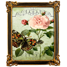 Репродукция старинной гравюры в раме «селин» (object desire) мультиколор 25x40x2 см.