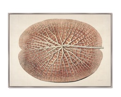 Репродукция картины на холсте leaf of a gigantic water lily 1870г. (картины в квартиру) мультиколор 105x75 см.