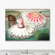 Репродукция картины на холсте water lily during bloom 1870г. (картины в квартиру) мультиколор 105x75 см.