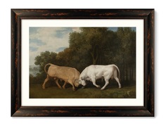 Репродукция картины в раме bulls fighting, 1786г. (картины в квартиру) мультиколор 80x60 см.