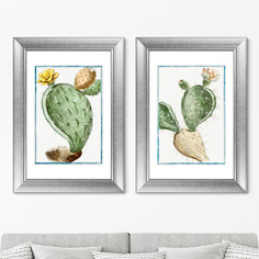 Набор из 2-х репродукций картин в раме semaphore prickly pear, 1793г. (картины в квартиру) мультиколор 50x70 см.