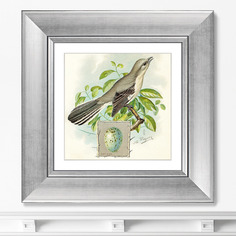 Репродукция картины в раме птицы, винтажная почтовая открытка №3 , 1918г. (картины в квартиру) мультиколор 35x35 см.