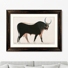 Репродукция картины в раме the apis bull, 1820г. (картины в квартиру) коричневый 80x60 см.