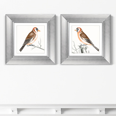 Набор из 2-х репродукций картин в раме goldfinches , 1698г. (картины в квартиру) коричневый 35x35 см.