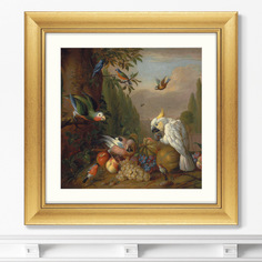 Репродукция картины в раме a cockatoo, a parrot, a jay and other birds , 1715г. (картины в квартиру) коричневый 60x60 см.