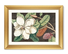 Репродукция картины на холсте beauty bloom №1, 1732г. (картины в квартиру) мультиколор 80x60 см.