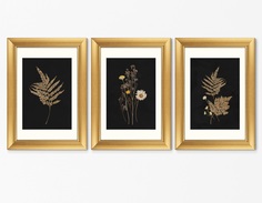 Набор из 3-х репродукций картин в раме flower herbarium, no1 (картины в квартиру) черный 50x70 см.
