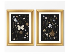 Набор из 2-х репродукций картин в раме flower herbarium, no2 (картины в квартиру) черный 60x80 см.