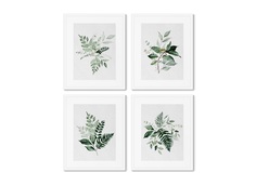 Набор из 4-х репродукций картин в раме floral set in pale shades, no2 (картины в квартиру) мультиколор 42x52 см.