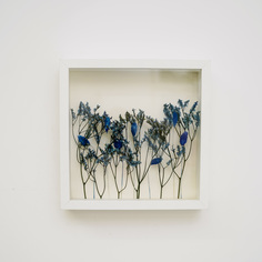 Панно с лимониум и фаларис (wowbotanica) синий 25x25x4 см.