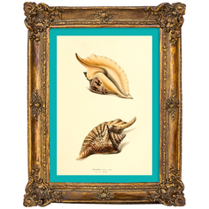 Картина «море волнуется - 101» в раме «анастаси» (object desire) коричневый 17x22x2 см.