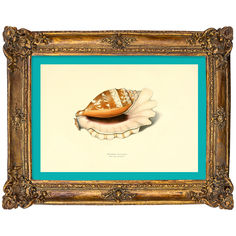 Картина «море волнуется - 104» в раме «анастаси» (object desire) коричневый 17x22x2 см.