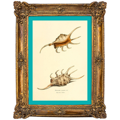 Картина «море волнуется - 78» в раме «анастаси» (object desire) коричневый 17x22x2 см.