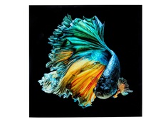 Картина fish (kare) мультиколор 100x100 см.