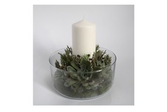 Подсвечник с суккулентами (wowbotanica) прозрачный 22 см.