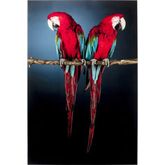 Картина parrots (kare) мультиколор 80x120 см.