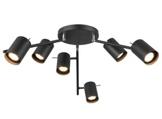 Светильник потолочный fanale (st luce) черный 21.0x42.0 см.
