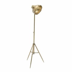 Лампа напольная crow (to4rooms) золотой 40x102x36 см.