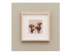 Розовое панно с тысячелистником (wowbotanica) бежевый 25x25 см.