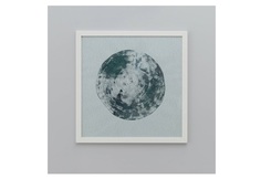 Постер с оттиском спила сосны (wowbotanica) серый 54x54 см.