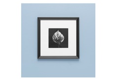 Панно с оттиском листа гортензии (wowbotanica) черный 25x25 см.