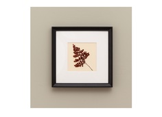 Картина с бордовым папоротником (wowbotanica) черный 12x17 см.