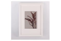 Картина грабия (wowbotanica) белый 23x32 см.