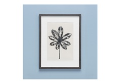 Картина с оттиском листа шеффлеры (wowbotanica) черный 32x42 см.