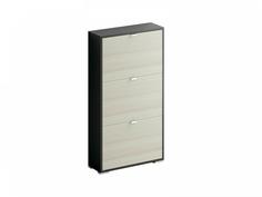 Шкаф для обуви reggy (ogogo) черный 60x112x20 см.