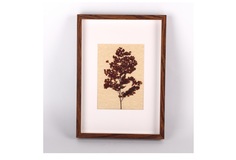 Картина люти (wowbotanica) бежевый 23x31 см.